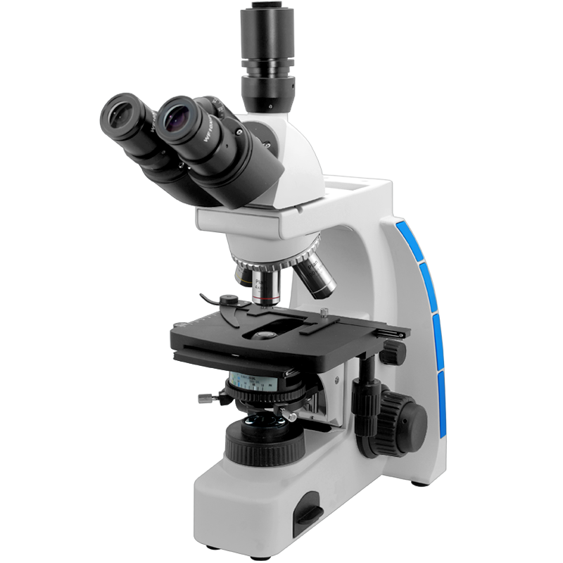 Biological Microscope